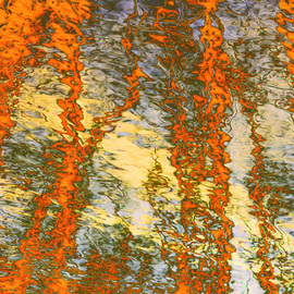 Bruce Lewis: 'the sky is always cosmic', 2018 Digital Photograph, Abstract. Artist Description: From the  Other Side of Reflection  series. By isolating and emphasizing key elements, the image retains movement as well as depth. Archival digital print, limited edition of ten. ...