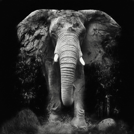 The Disappearance 7 Of 10, Erik Brede