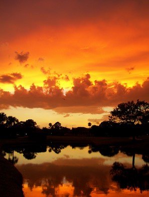 Carolyn Bistline: 'SANGRIA SUNSET', 2012 Color Photograph, Seascape.  Tropical sunset reflects the gold and red  colors of the sky onto the waters below.    ...