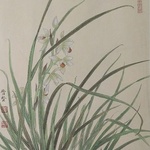 orchids series By Jinxian Zhao 