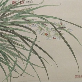 Orchids Series, Jinxian Zhao 