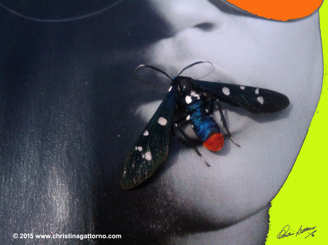 Artist Christina Gattorno. 'Dont Bug Me 2' Artwork Image, Created in 2009, Original Photography Black and White. #art #artist