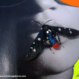 Christina Gattorno: 'Dont Bug Me 2', 2009 Color Photograph, Abstract. Artist Description:   Conceptual Photographic ArtDigital print on archival paper. Mounted on Aluminum & Plexiglas   ...