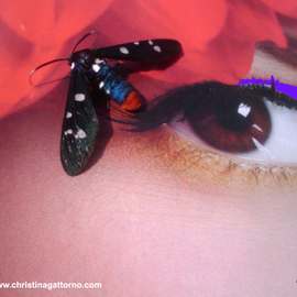 Christina Gattorno: 'Dont Bug Me 3', 2009 Color Photograph, Abstract. Artist Description:    Conceptual Photographic ArtDigital print on archival paper. Mounted on Aluminum & Plexiglas    ...