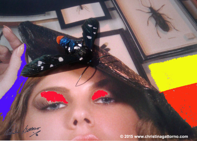 Artist Christina Gattorno. 'Dont Bug Me 4' Artwork Image, Created in 2009, Original Photography Black and White. #art #artist