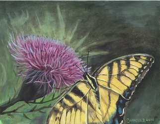 Cheryl Johnson: 'Butterfly on Thistle', 2010 Acrylic Painting, nature.  butterfly, swallowtail, thistle, floral, insects ...