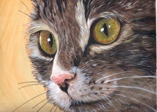 Cheryl Johnson: 'Indie Cat', 2015 Acrylic Painting, nature.  cat, feline, animal, pet ...