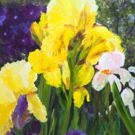 Chris Jehn: 'yellow and purple iris', 2017 Acrylic Painting, Floral. Artist Description: Bright purple and yellow iris. Up close...