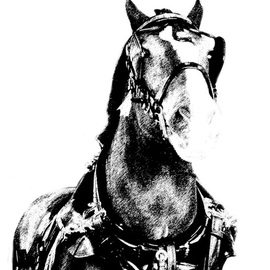 Horse, Christy Park