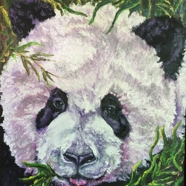 Panda By Cindy Pinnock