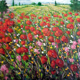 Isidro Cistare: 'poppies', 2017 Oil Painting, Landscape. Artist Description: Oil painting with a lot of material contribution, through spatula and details with thick brush.  Represents poppy fields, with his colorful and classic perspective of the painter which makes him have a very special calligraphy, RG...
