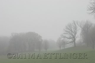 Martin A Ettlinger: 'Prospect Park Fog', 2011 Color Photograph, nature.   Prospect Park Fog was taken on a very foggy morning during the summer of 2010, in this most beautiful park. Photo is behind glass in a white wood frame. Watermark will not appear in photo. Frame size is 13 x 17 inches. ...