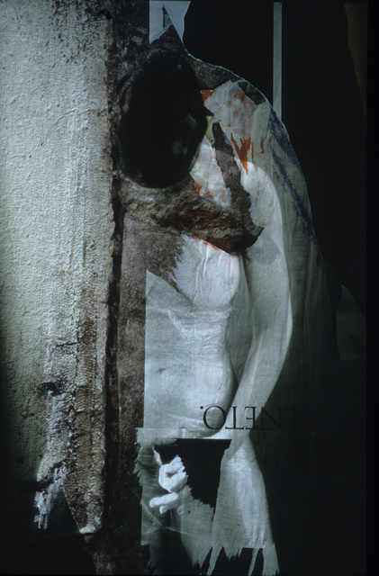 Artist Claudia Nierman. '29 Mutant Wall' Artwork Image, Created in 1999, Original Photography Digital. #art #artist