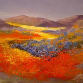 Namaqualand Dream By Colleen Balfour