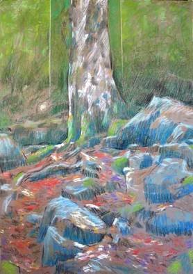 Bernard Marie Collet: 'Lonesome Tree', 2007 Pastel, nature. 