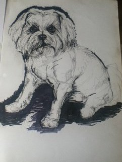 Daniela Vasileva: 'Dog ', 2016 Ink Drawing, Dogs.    Dog  ...