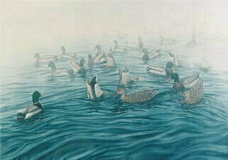 David Larkins: 'Duck Soup', 1994 Giclee, Wildlife. Living on the west end of Lake Erie all my life, one couldn' t help but be exposed to the multitude of wildlife that lives in the marshes and shoreline.