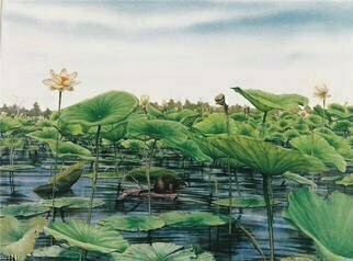 David Larkins: 'Monroe Lotus Beds', 1991 Lithograph, Landscape. Lotus Beds is a study of the lotus marshes which are plentiful in my lake side community.  The painting depicts the life cycle of the American Lotus from birth to death and also the creatures that inhabit the marshes.The lithograph size is 22 x 16 14....