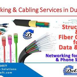 Networking Cabling Dubai, Delicate Software