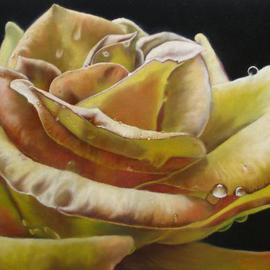 Delmus Phelps: 'Autumns Last', 2008 Oil Painting, Floral. Artist Description:  The last rose before killing frost.   ...
