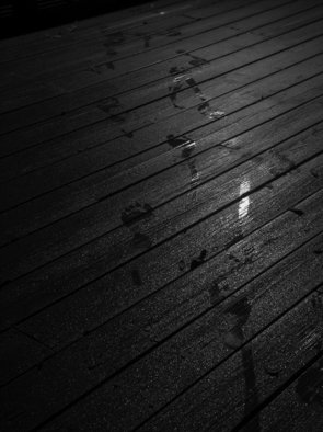 Dion Mcinnis: 'Footprints in dew', 2007 Black and White Photograph, Other.  imprints of bare feet in dew on a deck.  Print comes mounted on window mat board ...