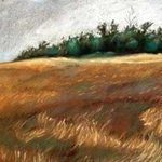 Prairie bush By Donna Gallant