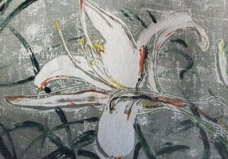 Donna Gallant: 'white lily 1', 2009 Monoprint, Floral. A white lily than looks like itaEURtms singing. ItaEURtms joyful and light. ...