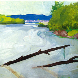Dario Raffaele Orioli: 'river sava zagreb', 1990 Oil Painting, Landscape. Artist Description: River inspired me...
