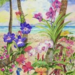 life amongst the orchids By Eileen Seitz