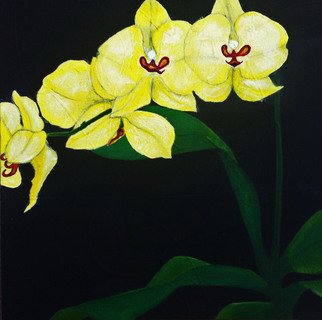 Elizabeth Bogard: 'Tres Flores Orchids', 2015 Acrylic Painting, Floral.  abstract representative painting, flower painting, flowers paintings, floral paintings, black painting, yellow paintings, green painting, orchid painting, orchids paintings, nature paintings, one flower painting, three panel painting, black and white painting, floral set paintings, panels paintings, tearoom paintings, entrance hall paintings, bedroom paintings, bathroom paintings, dining room paintings, entrance paintings...