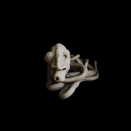 Emilio Merlina: 'sloughing off 011', 2011 Ceramic Sculpture, Fantasy. 