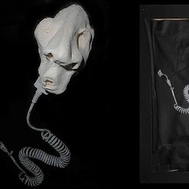 Emilio Merlina: 'the snake', 2014 Mixed Media Sculpture, Fantasy. 