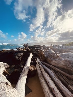 Erin Montanarelli: 'hawaiian winds', 2021 Other Photography, Beach. My first day on Kauai. Stepped foot onto the beach and the wind was blowing so hard, I slumped down to my knees and shot this from a lower angle. Quiet and explosive at the same time. ...