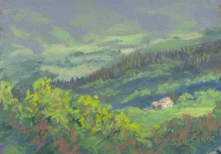 E S Desanna: 'Tuscan Morning', 2005 Pastel, Landscape.  14x11 simple gold frame with off- white mat.  I painted the spectacular view from my rented villa several times.  This was a brisk morning in May, when the sun was just getting high enough to highlight the casa down below. ...