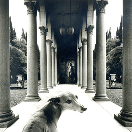 Itzhak Ben Arieh: 'THE DOG', 1996 Black and White Photograph, Fantasy. Artist Description:   PHOTOMONTAGEFANTASTIC PHOTOGRAPHY ...