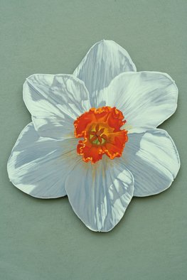 Stephen Fessler: 'Daffodil', 2013 Oil Painting, Floral.   A blossom in the Spring sun.      ...