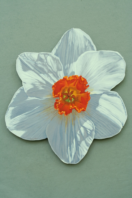 Artist Stephen Fessler. 'Daffodil' Artwork Image, Created in 2013, Original Painting Acrylic. #art #artist