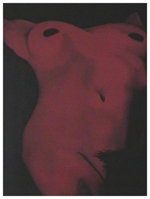 Artist John Fields. 'Female Torso' Artwork Image, Created in 2003, Original Painting Oil. #art #artist