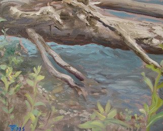 James Foos: 'Rainforest Runoff', 2008 Oil Painting, Landscape.  This is a small zoomed in second of the Hoh river in the the Hoh Rainforest ...