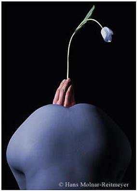 Hans Molnar Reitmeyer: 'Tulip', 2003 Black and White Photograph, Abstract. 