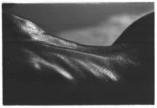 Tony Lee: 'back', 2002 Black and White Photograph, nudes. full- frame nude showing the back muscles. printed with wide borders on 9x12 paper. hand- signed by artist. ...