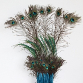 Casper Waldner: 'peacock feathers sculpture', 2024 Other Sculpture, Spiritual. Artist Description: Peacock feathers it is believed that they protect you from the Evil Eye or bad things in general. I just like the colours and the structure. ...