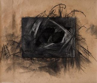 Marcia Freedman: 'Connecting Places', 2007 Charcoal Drawing, Abstract.  Connecting Places is an abstract drawing whose imagery is informed by organic forms found within the body....
