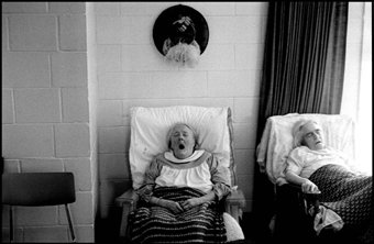 Gregory Stringfield: 'Left to Die Series 005', 1984 Silver Gelatin Photograph, Other. Artist Description: 35mm/ Tri- x filmSanta Cruz, Ca....