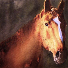 portrait of a brown stallion By Ivan Grozdanovski