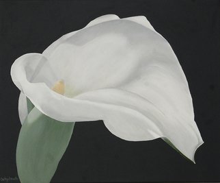 Cathy Savels: 'Arum Lily Painting White Flower on Gray Background Floral Botanical Wall Art', 2016 Acrylic Painting, Botanical.  A really sculptural flower, I could not resist painting this arum lily. In soft gray, white and green, this is a painting that will fit any interior decor.TITLE Arum LilySIZE 55 x 46cms 22 x 18Acrylic on CanvasThe sides of the canvas are painted so there...