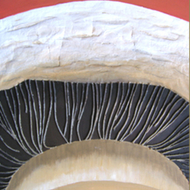 mushroom By Cathy Savels