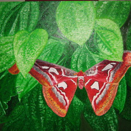 Hnin Aye: 'cool leaves hot  butterfly', 2009 Oil Painting, Still Life. Artist Description:  One day I found a butterfly on the leaves of a black pepper plant. The scene arouse my heart to make a painting. ...