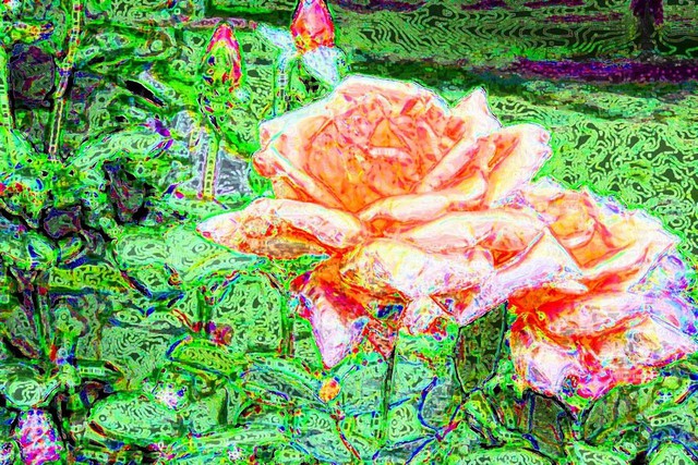 Artist Isaac Brown. 'Flower For My Love' Artwork Image, Created in 2008, Original Digital Art. #art #artist