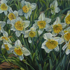 Daffodils By Laurie Ihlenfield